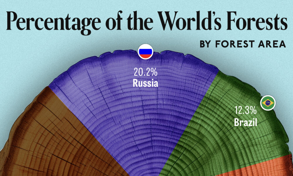 A cropped pie chart showing the share of world forest by country.