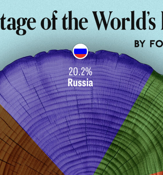 A cropped pie chart showing the share of world forest by country.