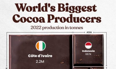 This tree map graphic shows the world's biggest cocoa producers.