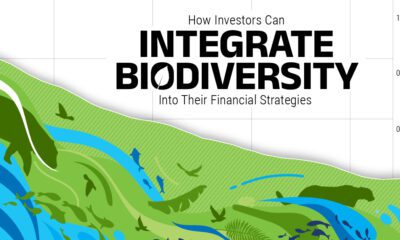 Teaser image for a larger infographic showing the alarming drop in biodiversity, its causes, and how investors can integrate biodiversity into their financial strategies.