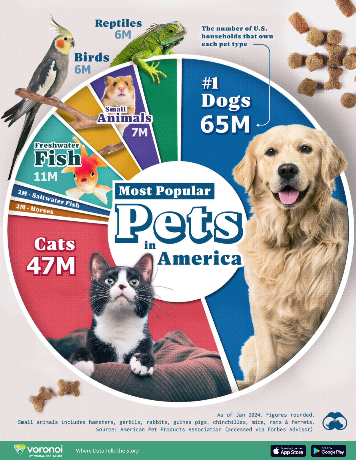 A chart showing the most popular pets in America by the number of households that own the pet.
