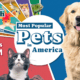 A cropped chart showing the most popular pets in America by the number of households that own the pet.