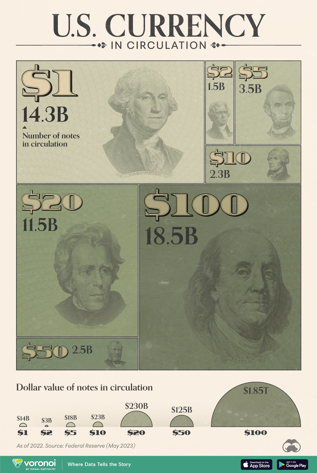 Graphic illustrating U.S. currency in circulation