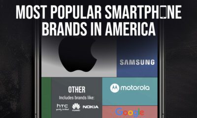 A cropped chart listing the popularity of smartphones brands in America, ranked by market share.