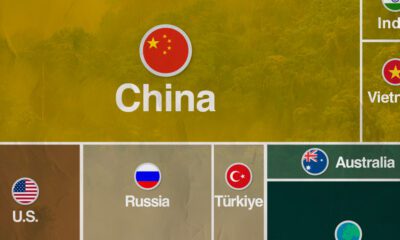 A cropped treemap showing the countries by their total forest growth measured in square kilometers.