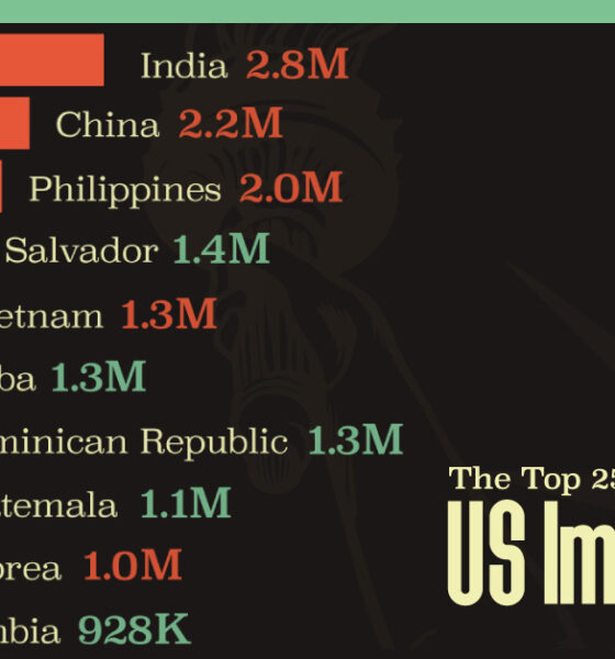 Bar chart showing the top 25 nationalities of US Immigrants.