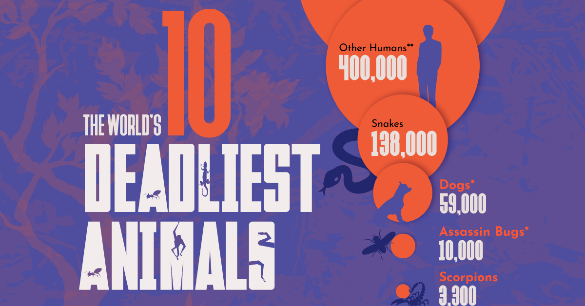 Ranked Top 10 Deadliest Animals For Humans Ranked Top 10 Deadliest Animals For Humans