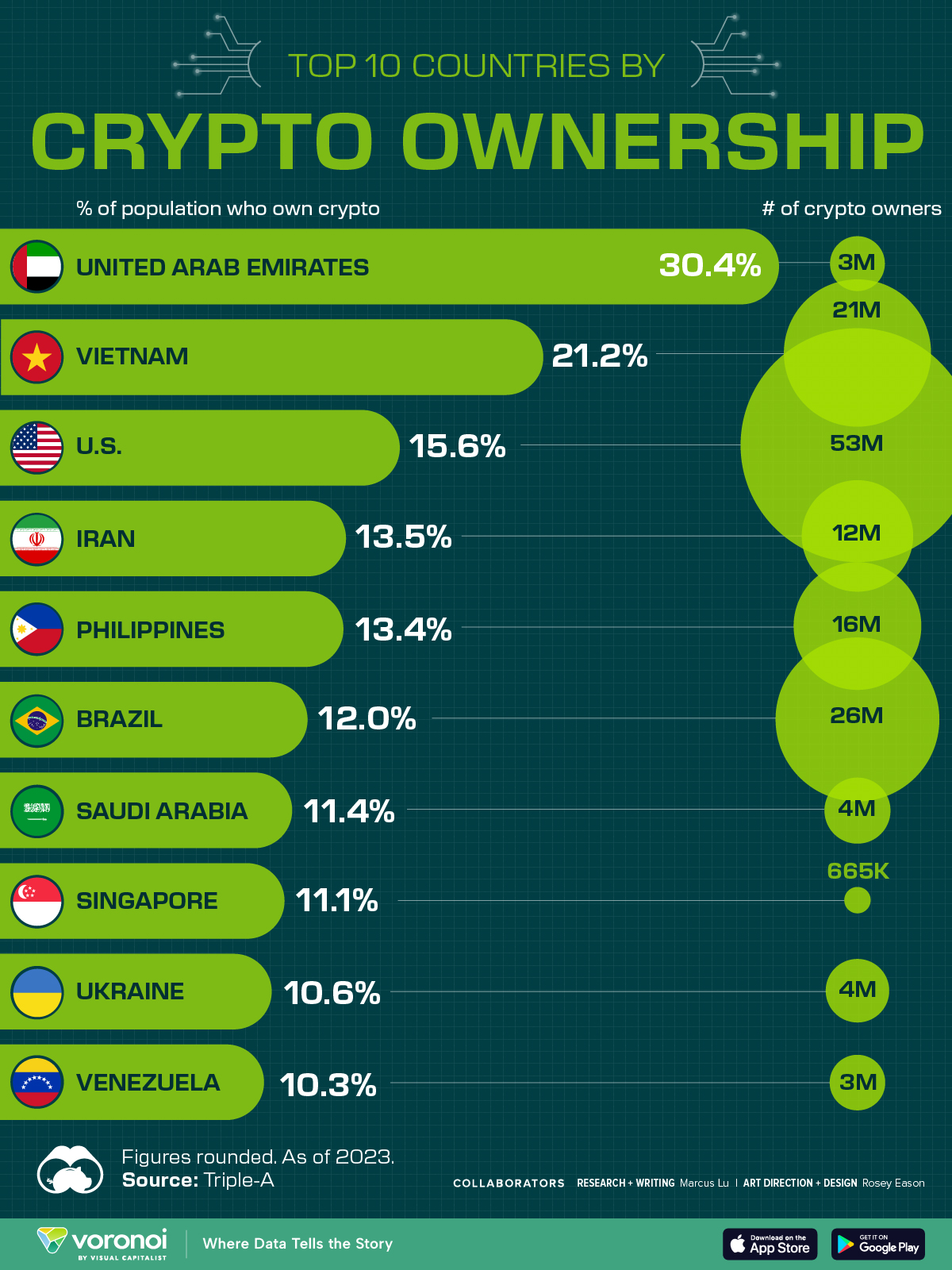 Graphic showing the top countries by crypto ownership rate