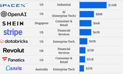 The preview image for A bar chart showing the top 10 most valuable unicorn companies in the world with data from CB Insights.