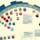 sharer image of sunburst diagram that shows the number of nations who introduced polymer bank notes between 1988 and 2022.
