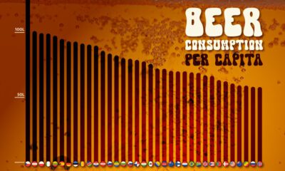 This bar chart shows beer consumption per capita, by country.