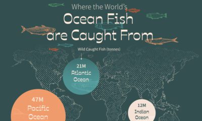 这张地图直观地显示了每年野生捕获的鱼类有多少来自世界各主要海洋。