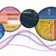 VC+ Special Dispatch: Back to School - Trends in Education.