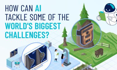 Illustrations of forest with camera trap capturing bear and breast cancer scan as examples of AI being used to tackle the world's biggest challenges.