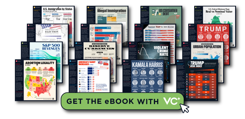VC+ Election 2024: Charting the Key Issues. eBook.