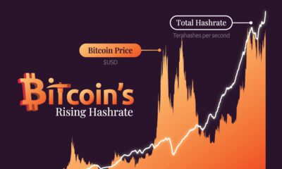 This line chart shows the bitcoin hashrate since 2016.