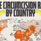 This cropped graphic maps out the male circumcision rate by country.