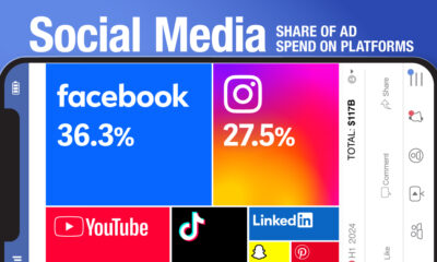 This treemap shows the top social platform by ad spend.
