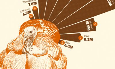 An illustration of a turkey with the tail feather styled as a polar area chart to show a partial view of the U.S. states producing the most turkeys in 2024.