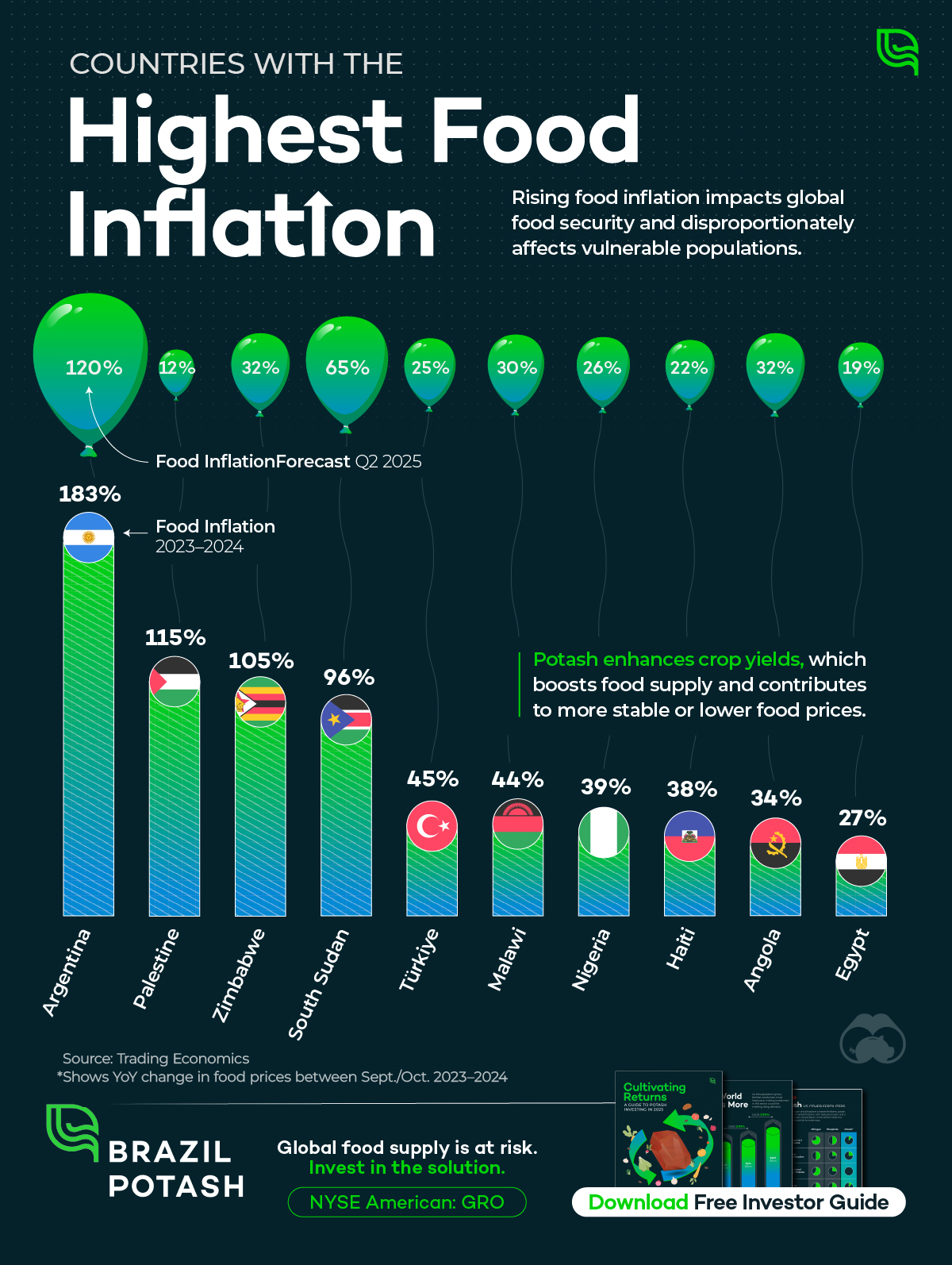 A bar chart showing which countries have the highest food inflation in 2024.