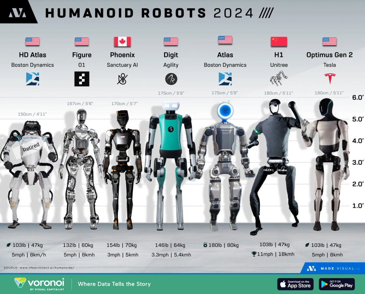 A graphic showing current humanoid robots created by Made Visual
