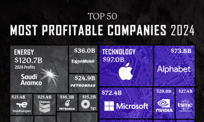Treemap showing the most profitable companies in the world in 2024.