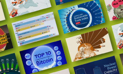 Sharable image displaying the top performing sponsored posts for Visual Capitalist in 2024