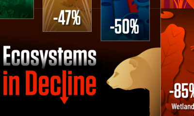 the preview image for a chart with 4 bars showing the declines in four key ecosystems on Earth.