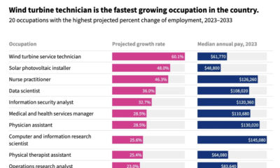 The preview image for a bar chart using data from the U.S. Bureau of Labor Statistics showing the fastest growing jobs in the U.S.