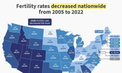 The preview image for a map of U.S. states by their declining birth rates from 2005 to 2022.