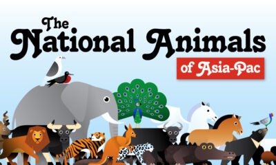 Preview of a map showing the national animals of Asia using information from AnimalSake