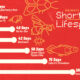 This infographic highlights the animals with the shortest lifespans on Earth, ranging from days to weeks.