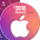 This infographic breaks down Apple's revenue by product category and geographical region in 2024.