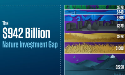 The preview image for a graphic showing the total annual nature investment needed by 2030 for each nature category compared with the current finance flows using data from BloombergNEF.