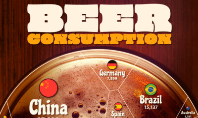 which countries drink the most beer.
