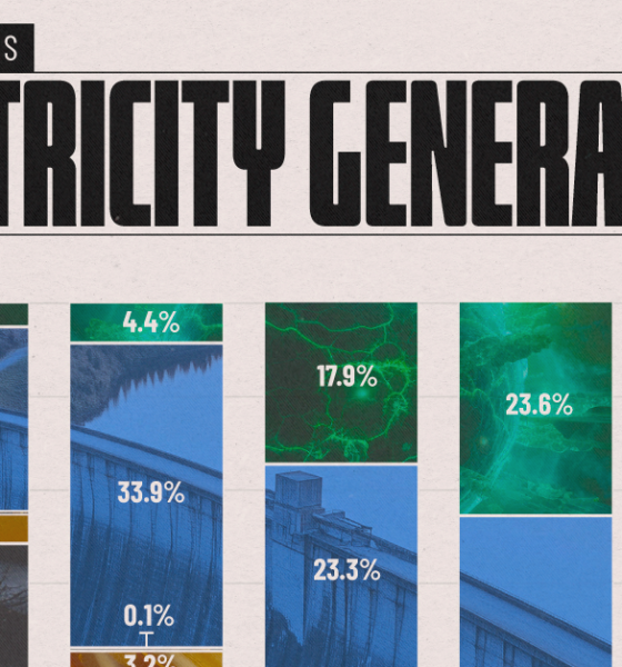 Bar chart showing how coal dominated power generation in 2024.