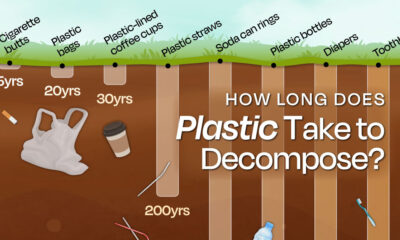 Bar chart showing how long it takes for plastic to decompose.