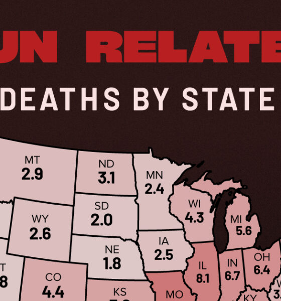 This map shows gun-related deaths by state in America as of 2023.