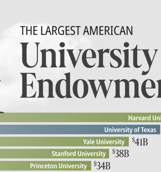 Bar chart showing the largest American university endowments as of 2024 fiscal years.