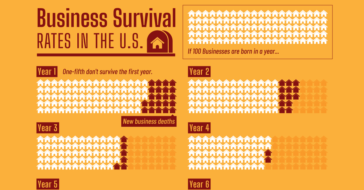 The Harsh Reality: Only 35% of Startups Survive Past 10 Years