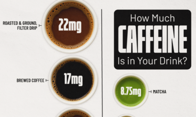 This graphic shows how much caffeine is present per ounce (30 mL) in a range of popular beverages, from coffee and tea to matcha and chocolate milk.