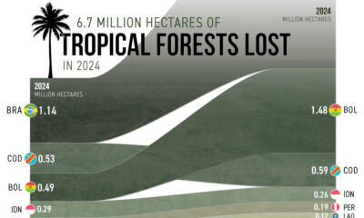 Chart showing tropical forest loss in 2024