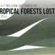 Chart showing tropical forest loss in 2024