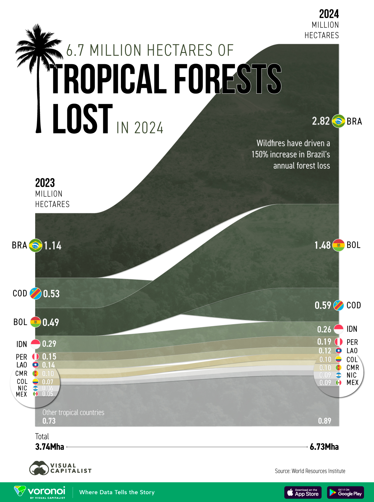 In this graphic, we show the loss of tropical forest cover by country in 2024.