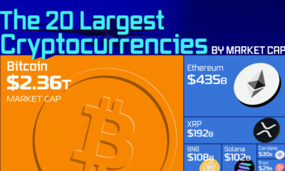cropped chart of largest cryptocurrencies by market capitalization