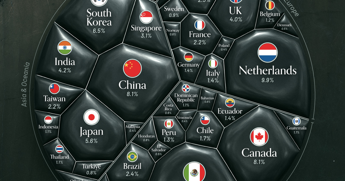 Visualized: The Top Countries Buying U.S. Oil in 2024