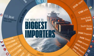 Pie chart showing the 30 largest importers in the world in 2024.