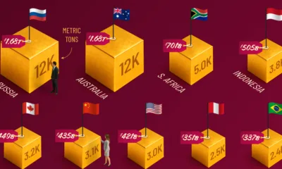 Graphic showing unmined gold reserves by Country as of January 2025.