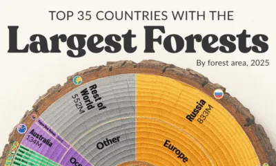 This cropped graphic lists the top 35 countries with the largest forests, sorted by region, using data from the FAO, released October 2025.