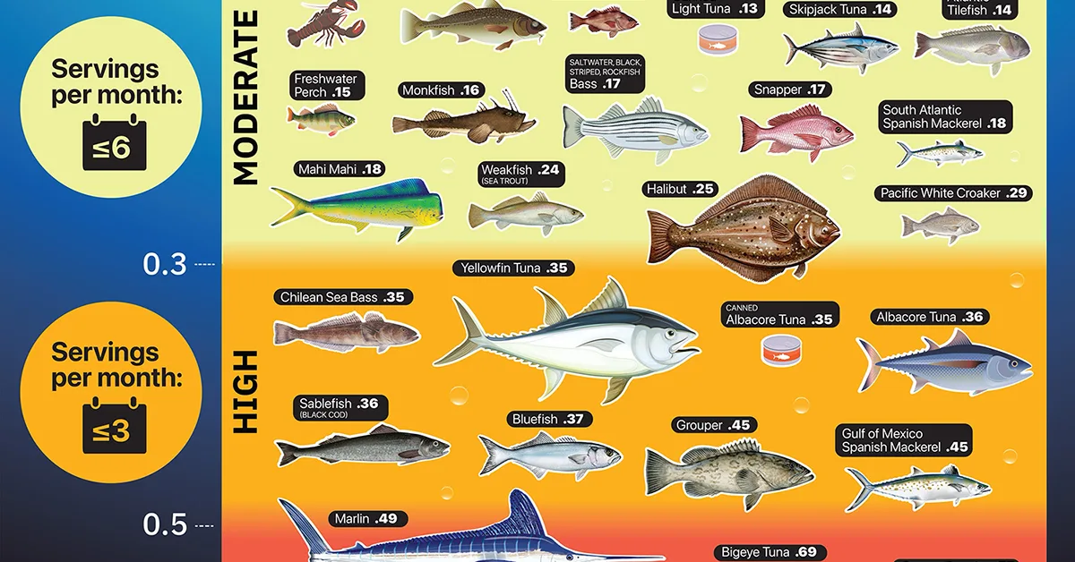 Visualized: How Much Mercury is in the Fish You Eat?